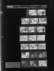 Dollar Day Celebration; Car Wreck (20 Negatives), February 8-10, 1966 [Sleeve 27, Folder b, Box 39]